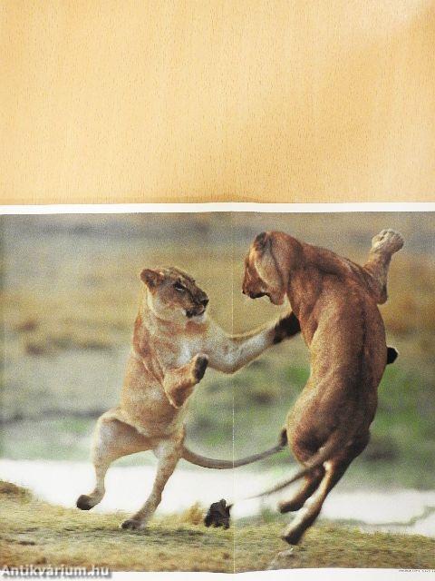 National Geographic December 1994