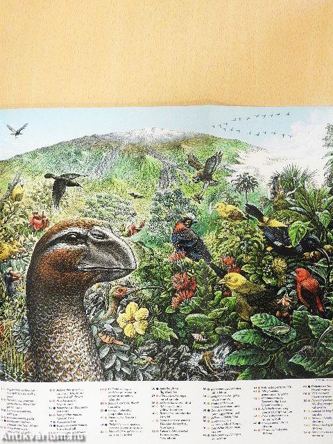 National Geographic September 1995