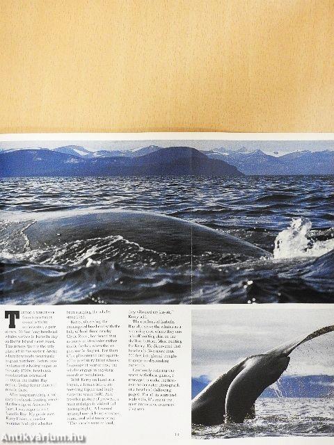 National Geographic July 1991