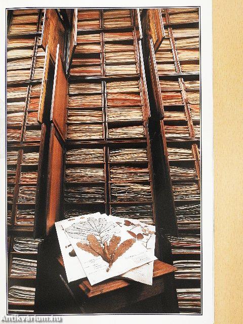 National Geographic November 1996