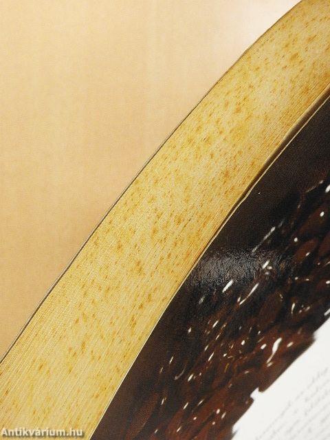 Legújabb nagy házi cukrászat