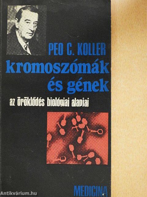 Kromoszómák és gének