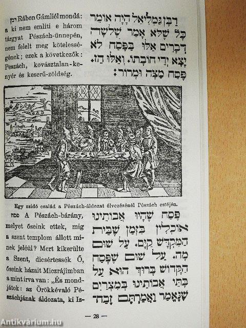 A Peszach Hagada