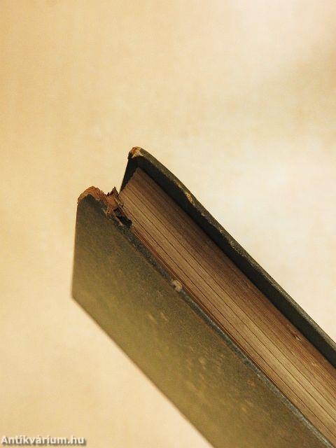 A kontárság kultusza