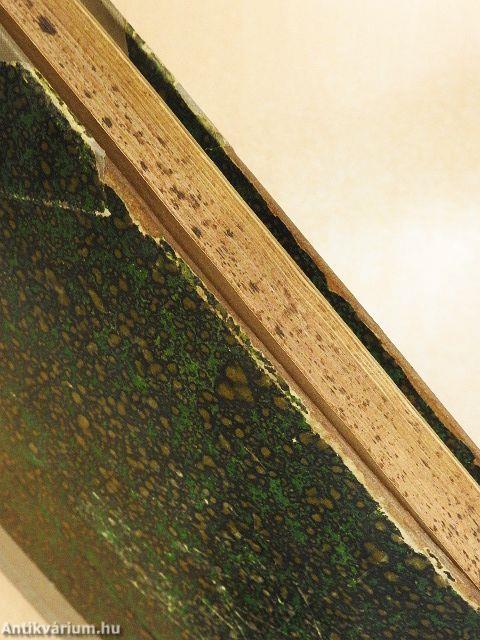 Magyar Cserkész 1928. (nem teljes évfolyam)