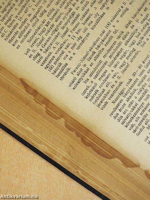 Iparegészségügy 1904. január-december