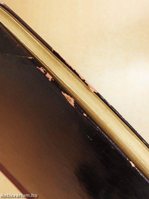 A Filharmoniai Társaság multja és jelene 1853-1903