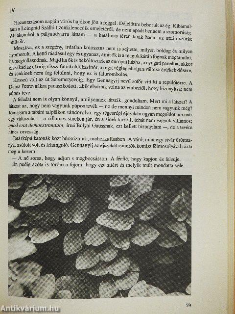 Liget 1990. Tavasz-tél