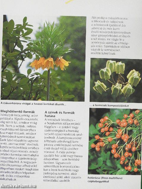 Szárazvirágcsokrok a természetből és a kertből