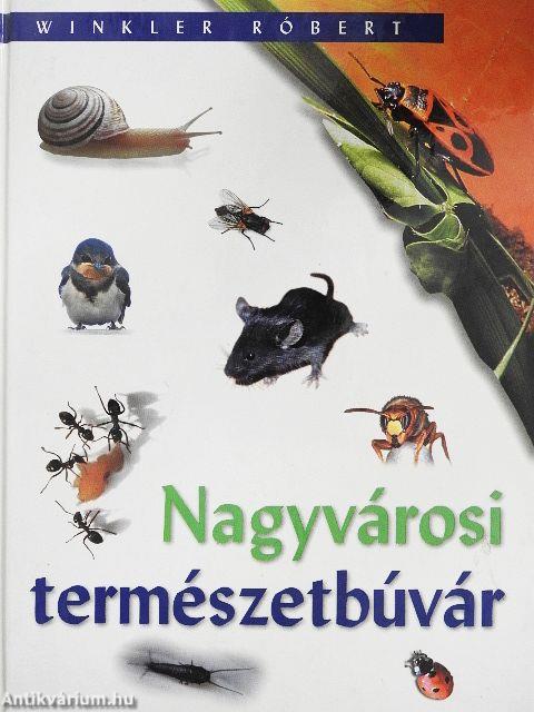 Nagyvárosi természetbúvár