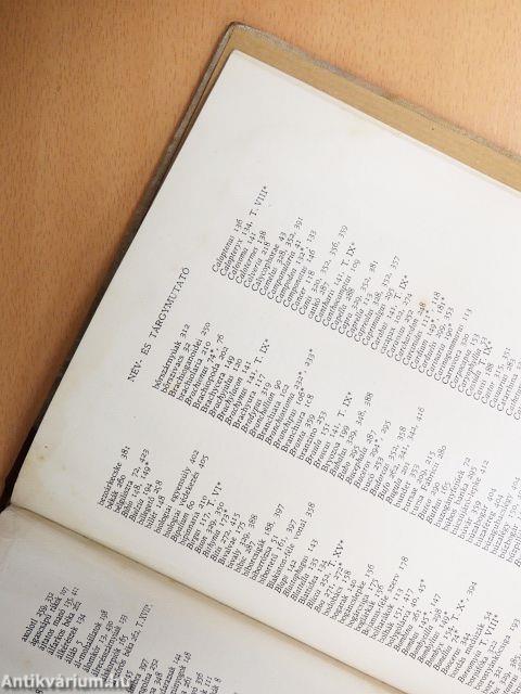 Az állat és élete II. (töredék)