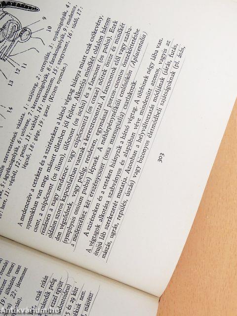 Az állat és élete II. (töredék)