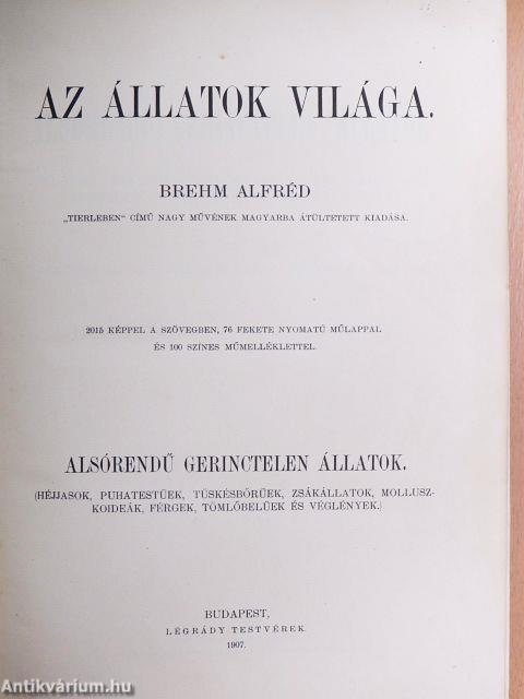 Brehm - Az állatok világa 10.