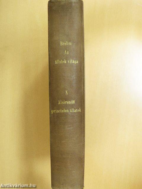 Brehm - Az állatok világa 10.