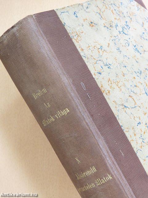 Brehm - Az állatok világa 10.