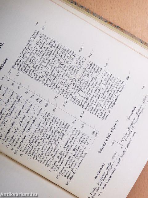 Brehm - Az állatok világa 10.