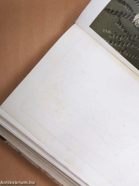 Brehm - Az állatok világa 10.