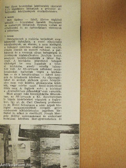 Auschwitz-Birkenau Állami Múzeum