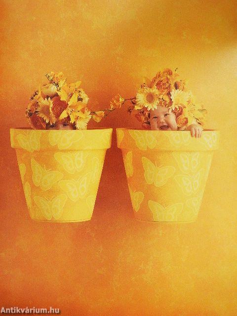 A barátság naplója