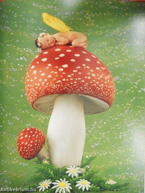 A barátság naplója