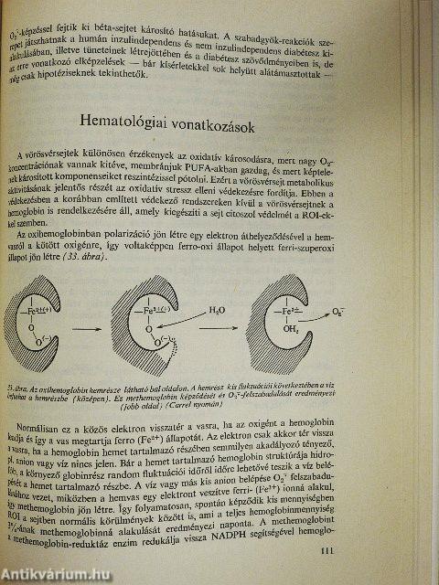 Szabadgyök-reakciók jelentősége az orvostudományban