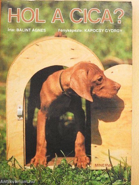 Hol a cica?