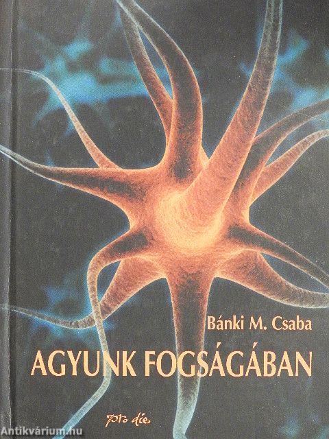 Agyunk fogságában