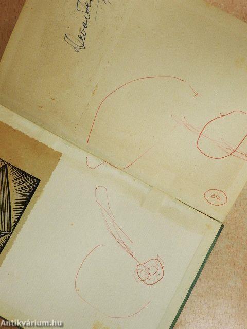 Language in Education