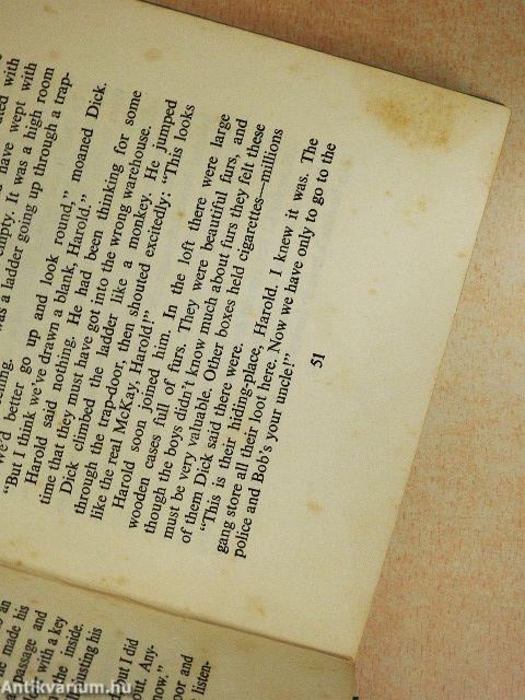 Adventure Stories for Boys