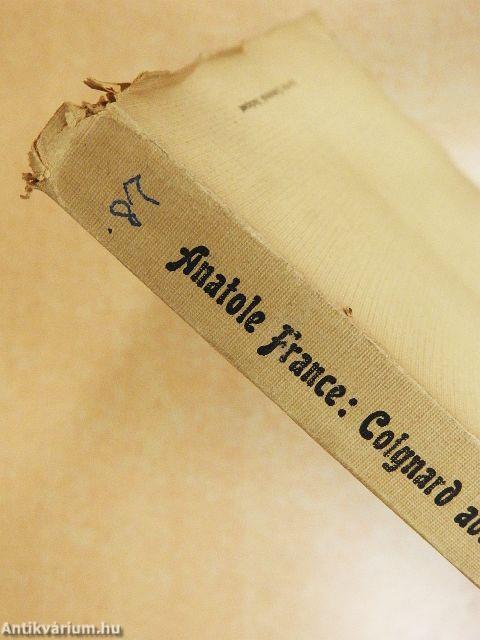 Coignard abbé véleményei/Epikur kertje