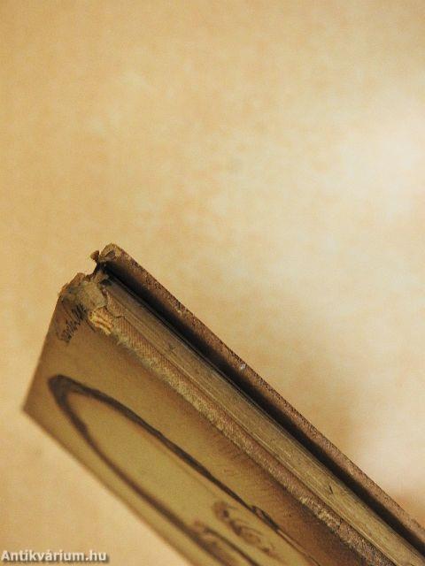 Romain Rolland élete