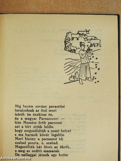 Denevérek honfoglalása