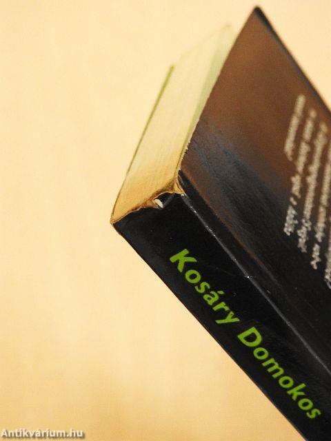 Széchenyi Döblingben