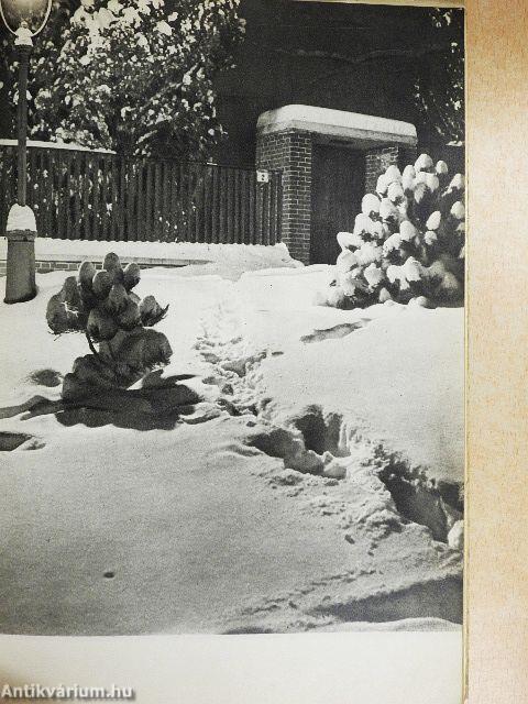 Különleges objektívok