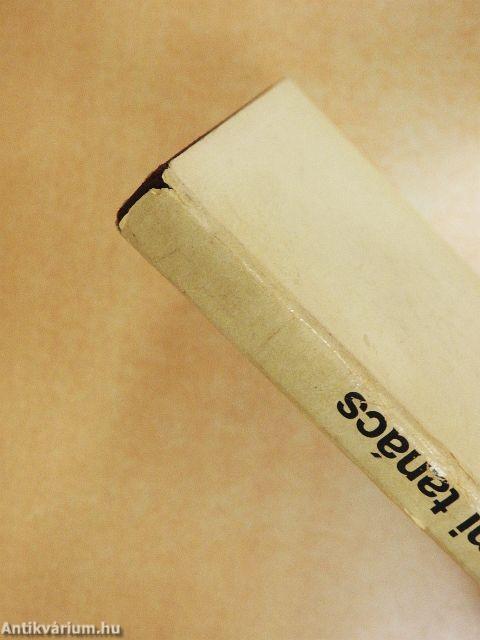 Az Egyiptomi tanács