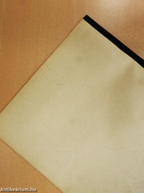 Tägliche Übungen für die Violine