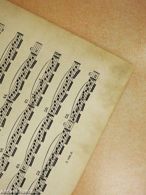 Tägliche Übungen für die Violine