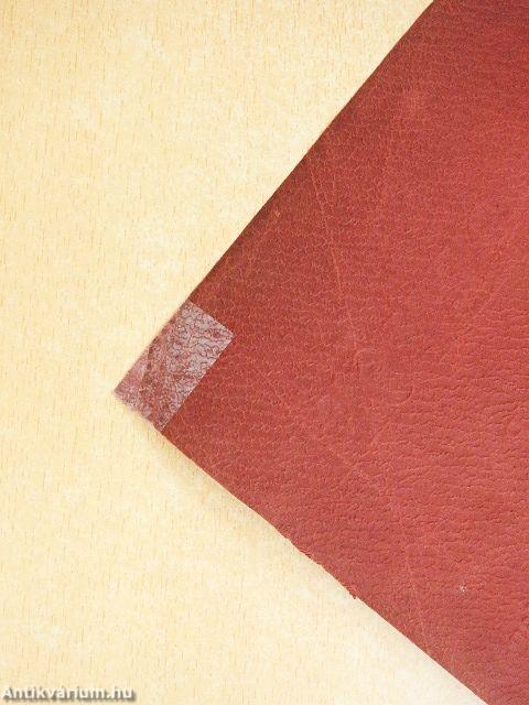 Bem-Petőfi körkép