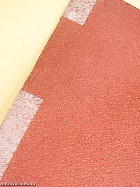 Bem-Petőfi körkép