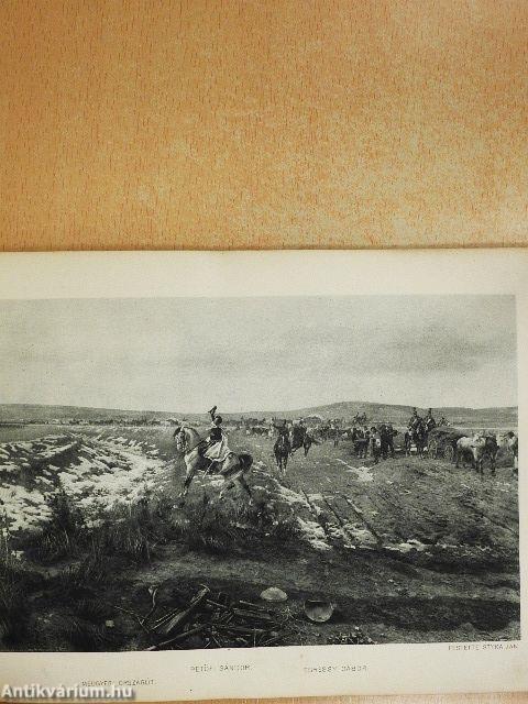 Bem-Petőfi körkép