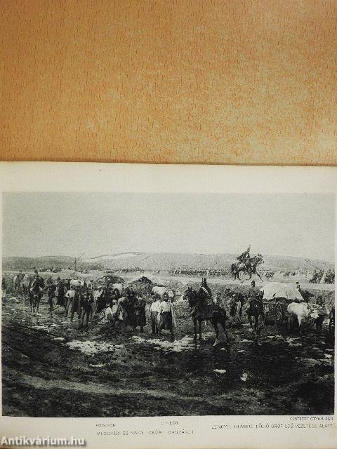 Bem-Petőfi körkép