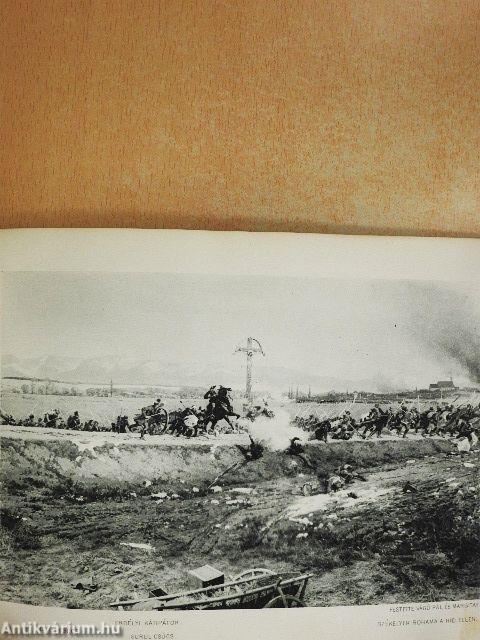 Bem-Petőfi körkép