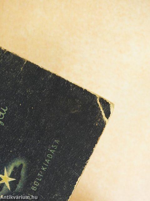 Hangya Kati, Hangya Matyi csodálatos karácsonyi kalandjai