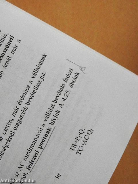 Közgazdaságtan alapjai I.