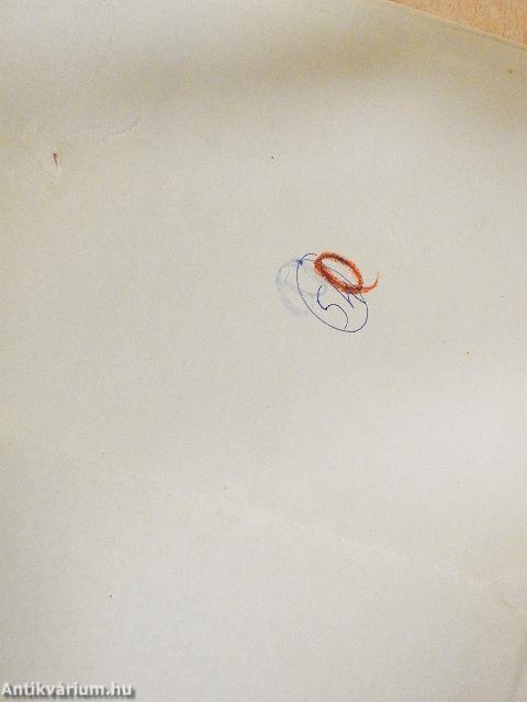 Alapismereti kislexikon