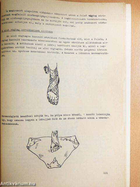 Sportegészségtan és elsősegélynyújtás