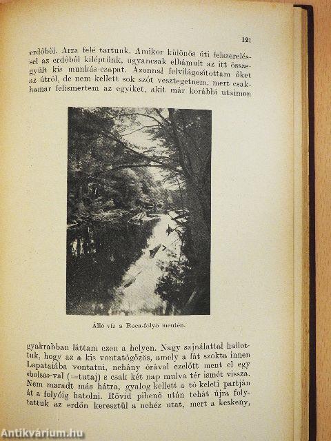 Tíz esztendő a Tűzföldön