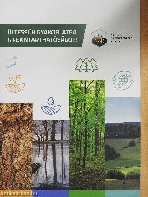 Ültessük gyakorlatba a fenntarthatóságot!