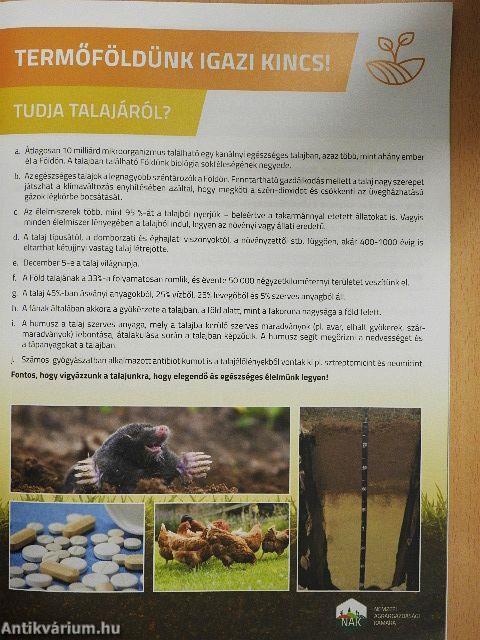 Ültessük gyakorlatba a fenntarthatóságot!