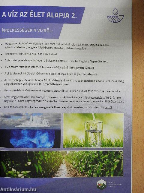 Ültessük gyakorlatba a fenntarthatóságot!